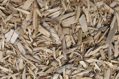 biomass boilers Cilwendeg